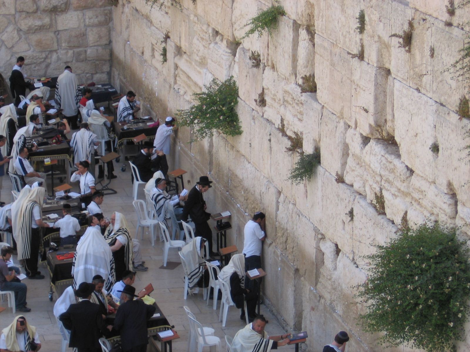 תמונה מתוך מרכז הידע של רן חובב