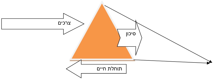 סיכון צרכים תוחלת חיים בפרישה ולאחר פרישה סיכון צרכים תוחלת חיים בפרישה ולאחר פרישה